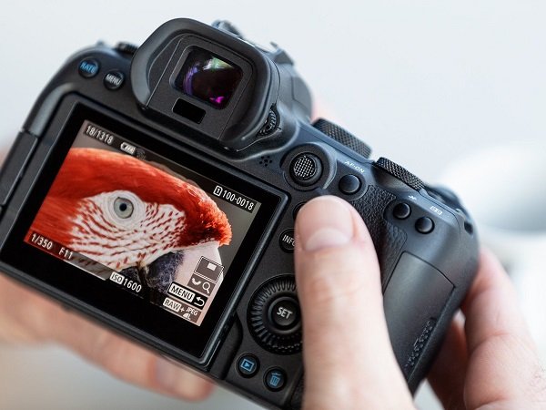 CANON EOS R6 Nu,Appareil photo hybride plein format